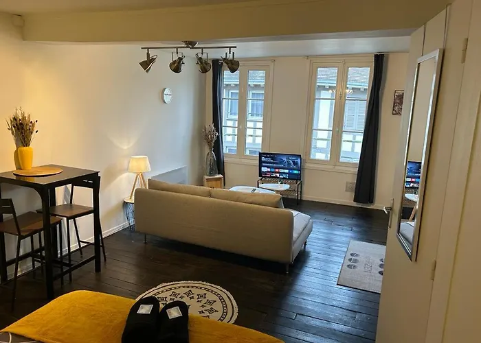 Le Jaillant - Wifi - Centre Historique - Proche Gare Apartman *