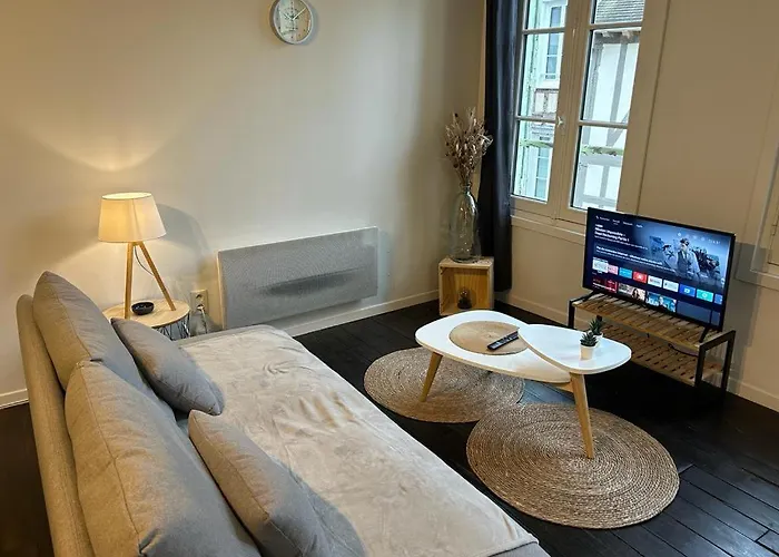 Le Jaillant - Wifi - Centre Historique - Proche Gare